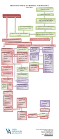 criminal case stage.pdf